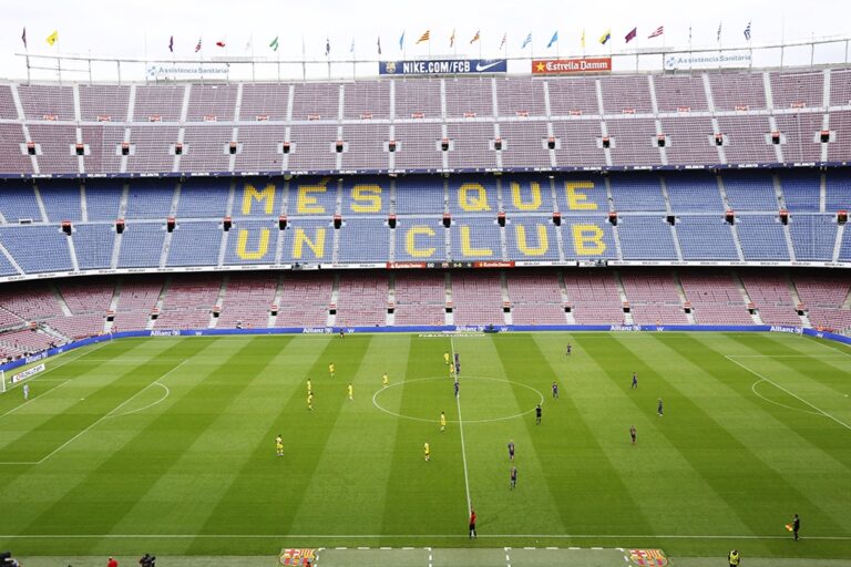 imago images / AFLOSPORT